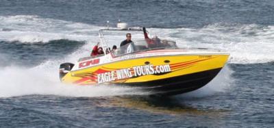 Eagle Wing Whale Watch Cigarette Boat